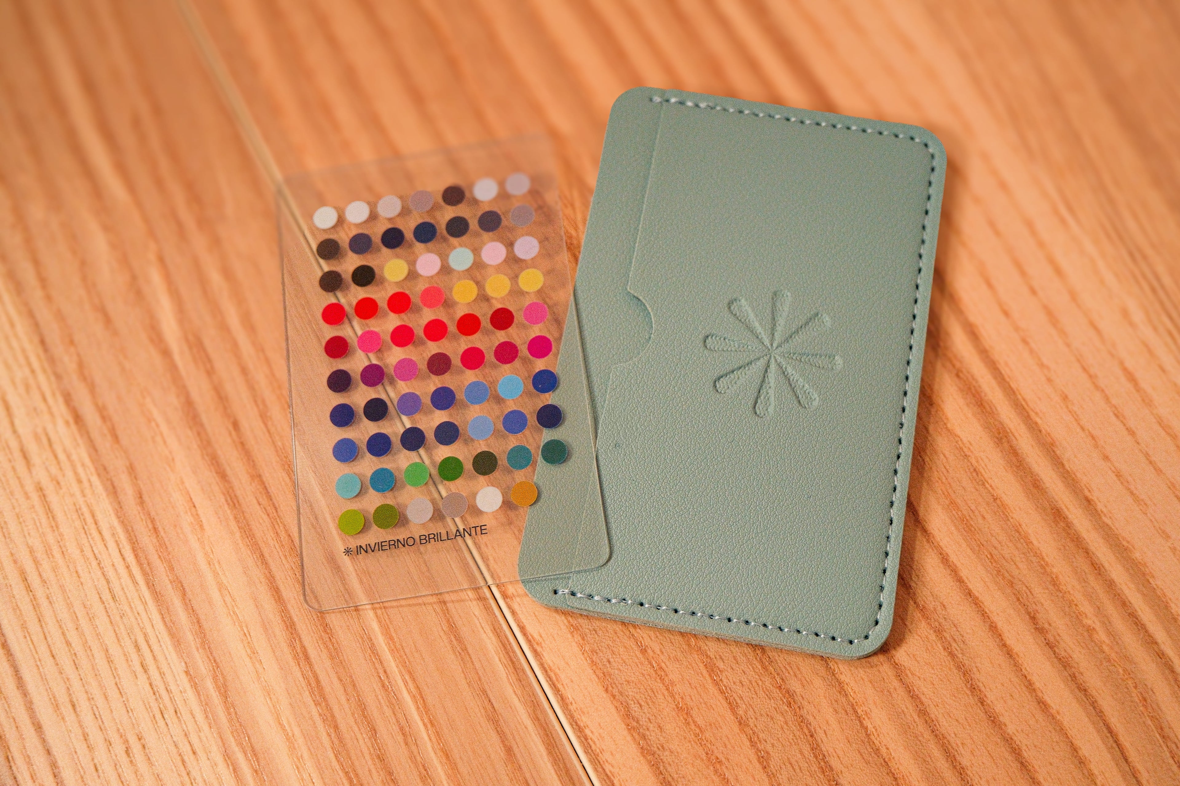 Paleta de Colorimetría Invierno Brillante + Tarjetero