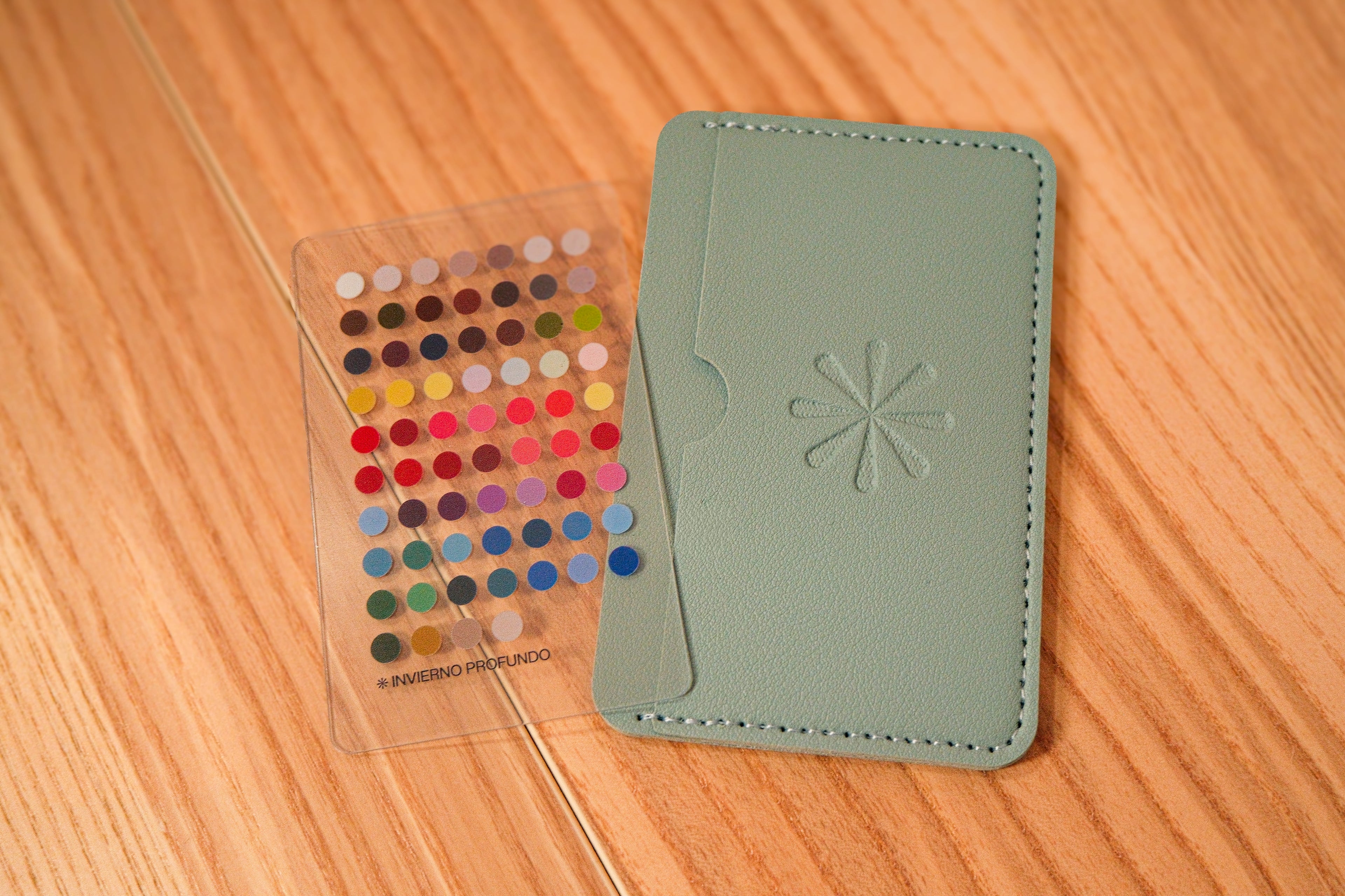 Paleta de Colorimetría Invierno Profundo + Tarjetero