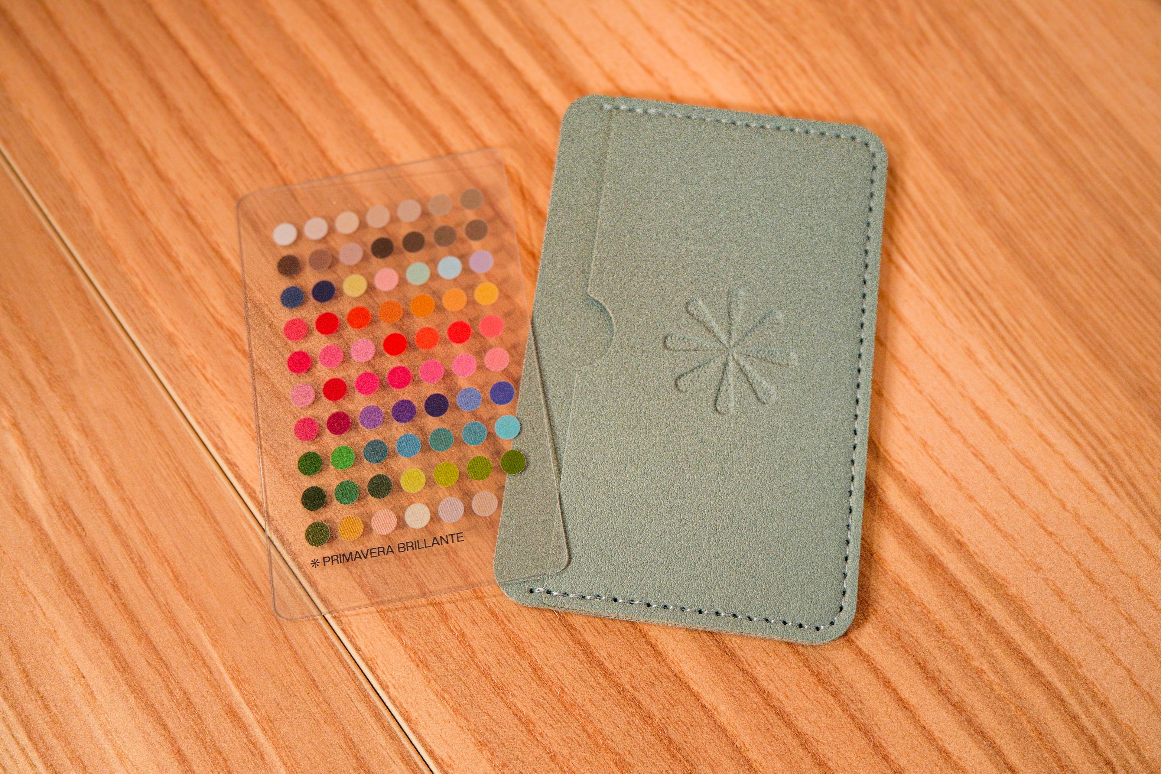 Paleta de Colorimetría Primavera Brillante + Tarjetero