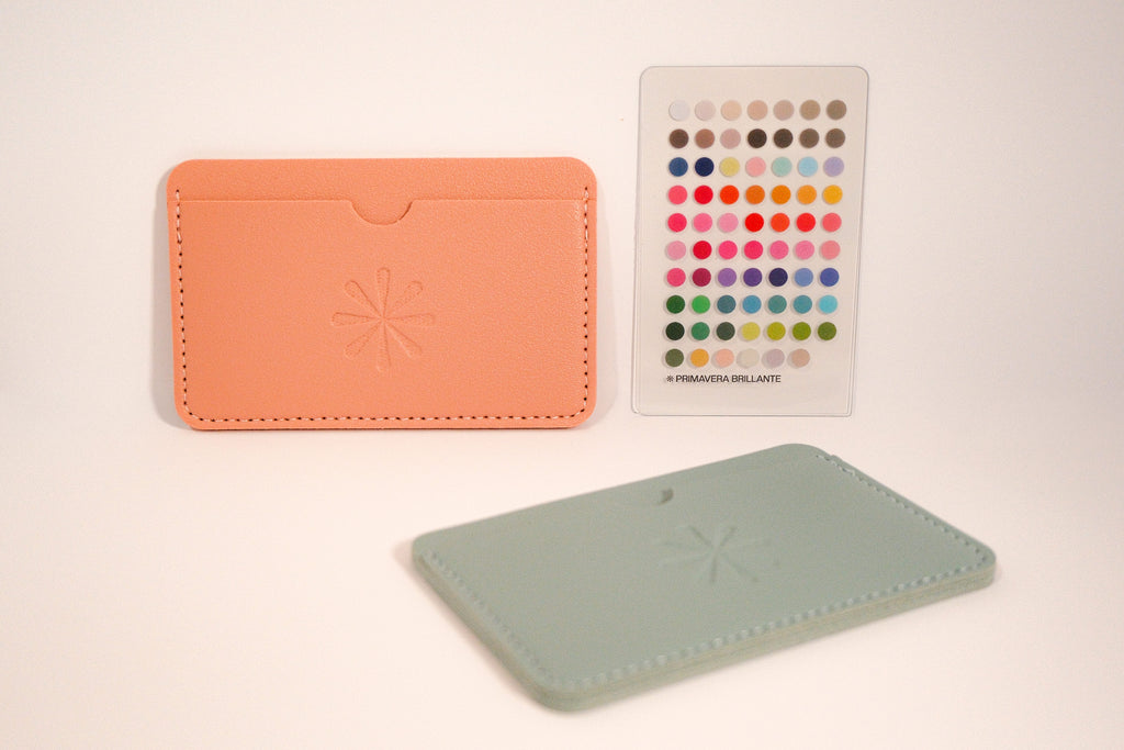 Paleta de Colorimetría Primavera Brillante + Tarjetero